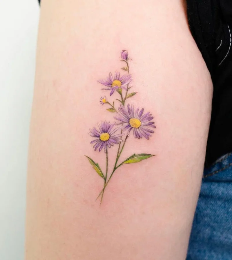 The Aster Breakthrough: what it is and why its price is just the beginning