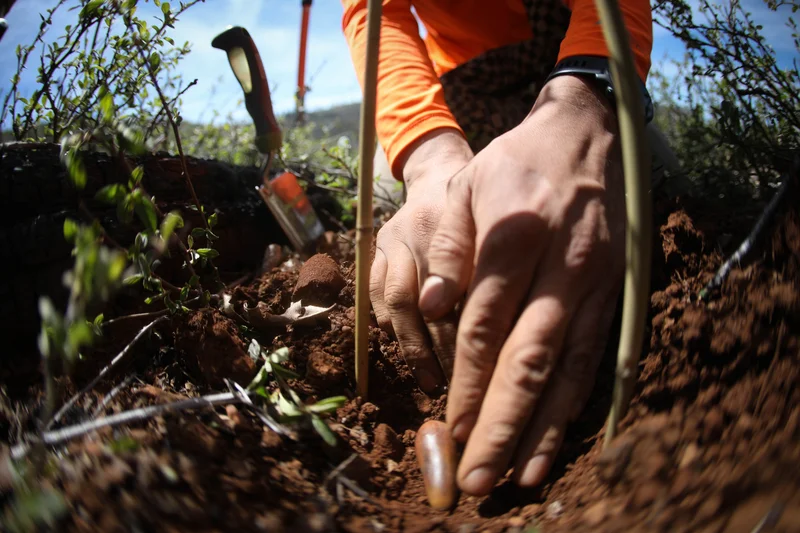 The US Forest Service Website Breach: A Wake-Up Call for Our Digital Public Square